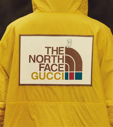 the north face colaboracion gucci|the north face gucci tracksuit.